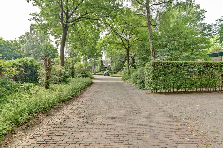 Foto 3 van Hoefslag 21