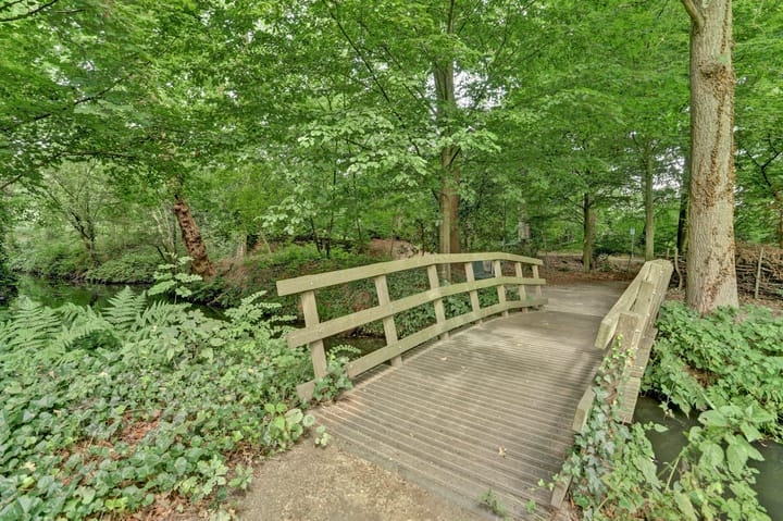 Foto 5 van Hoefslag 21