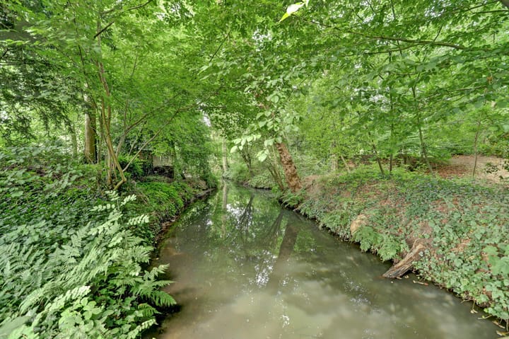 Foto 43 van Hoefslag 21