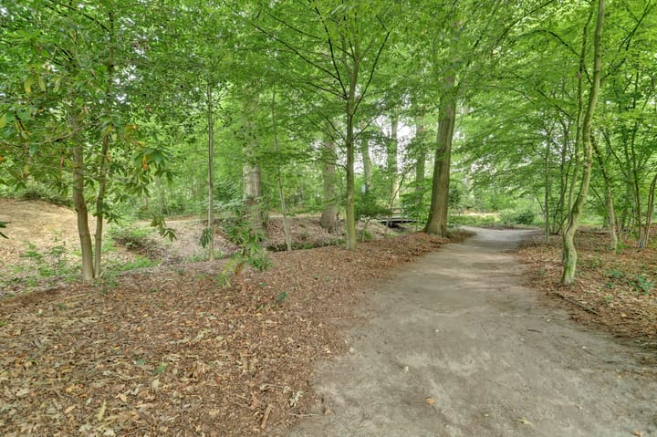 Foto 44 van Hoefslag 21