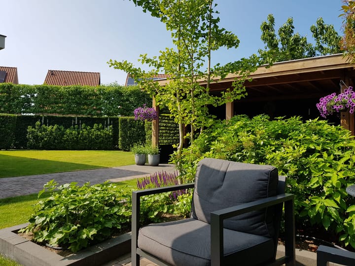 Foto 3 van Achterweem 12