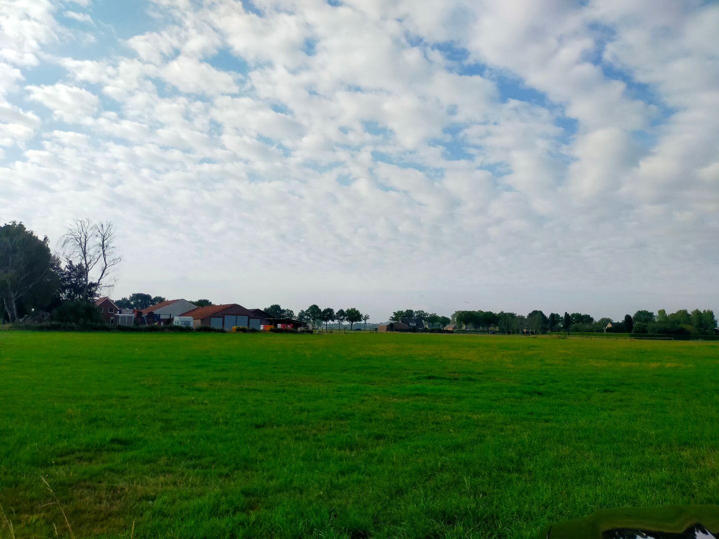 Bekijk foto 3 van Rucphenseweg