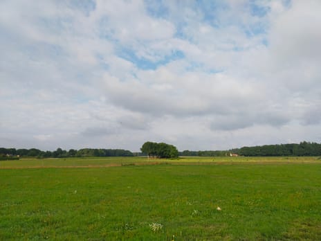 Bekijk foto's