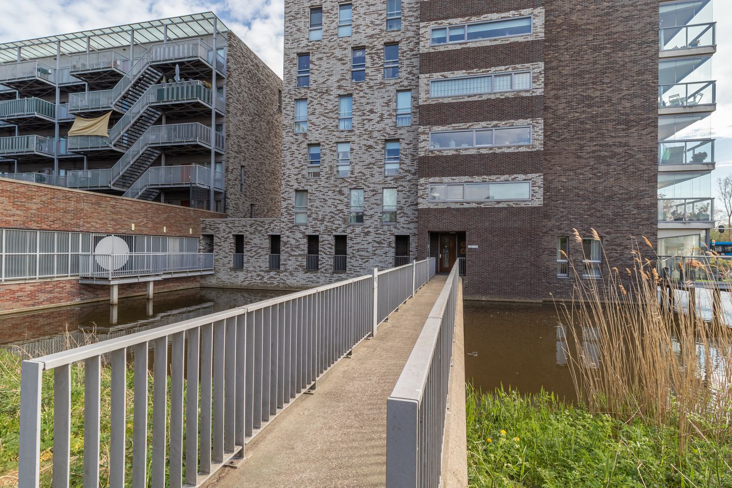 Photo 34 of La Palma 126