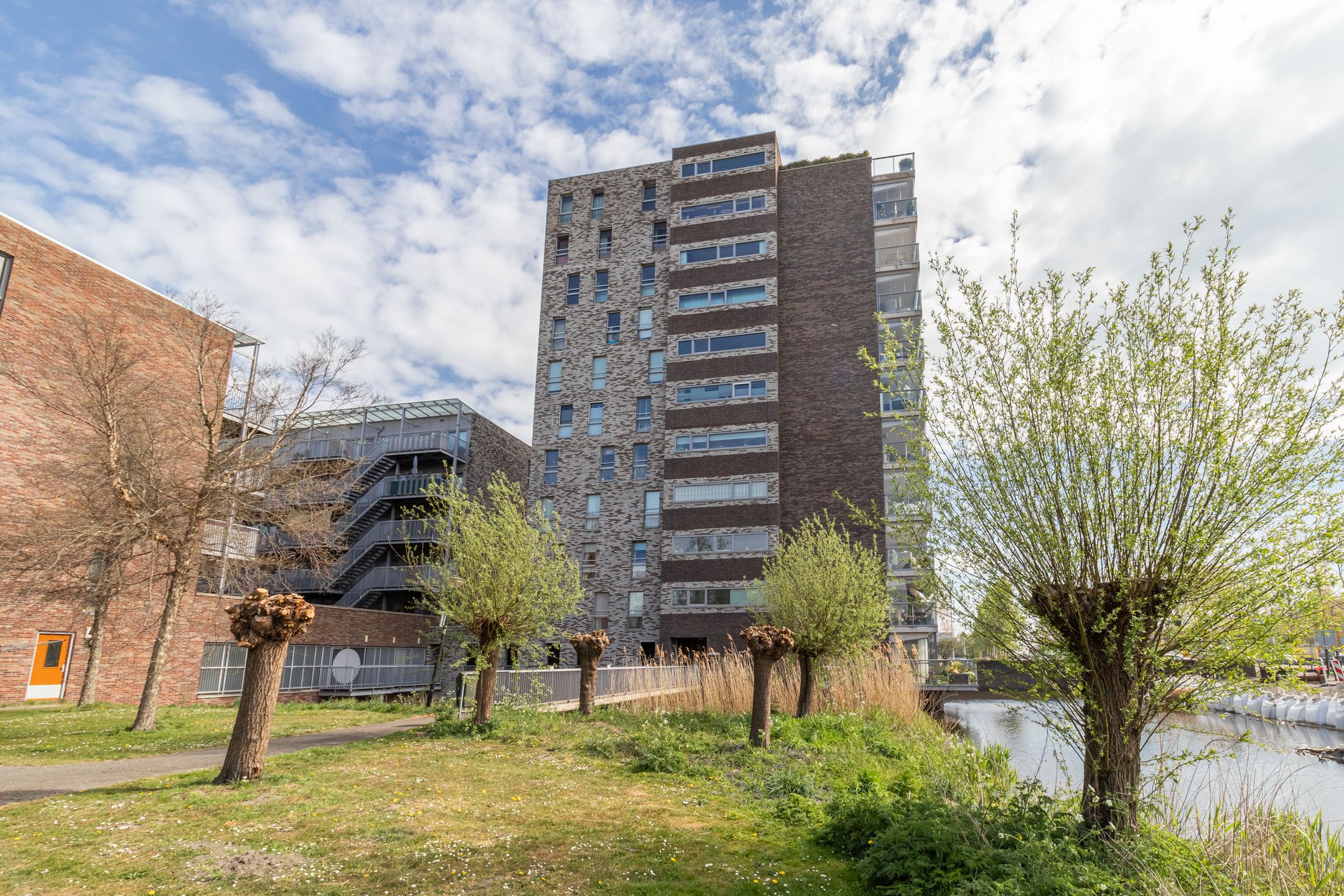 Photo 36 of La Palma 126