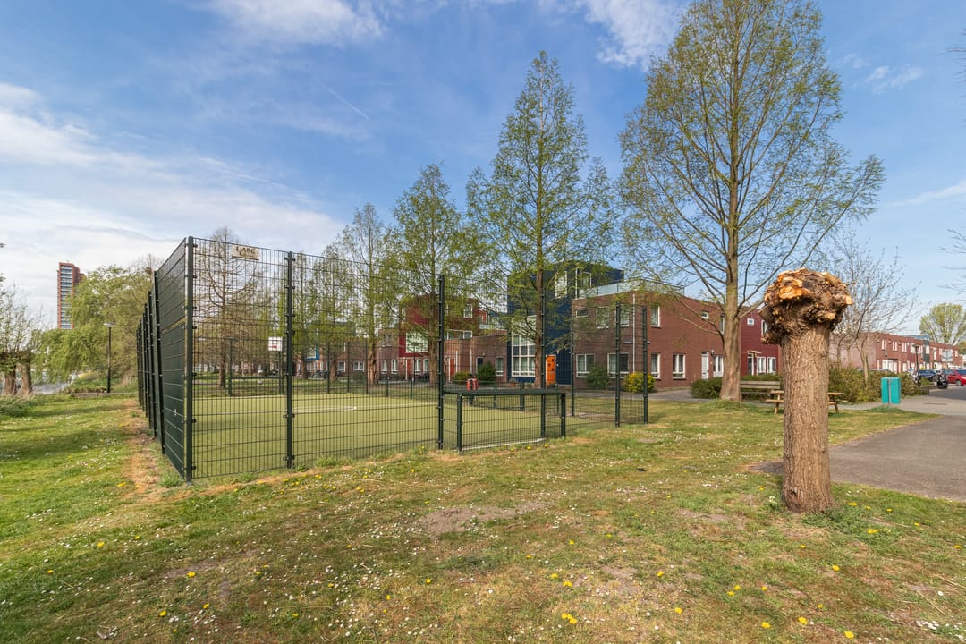 Photo 38 of La Palma 126