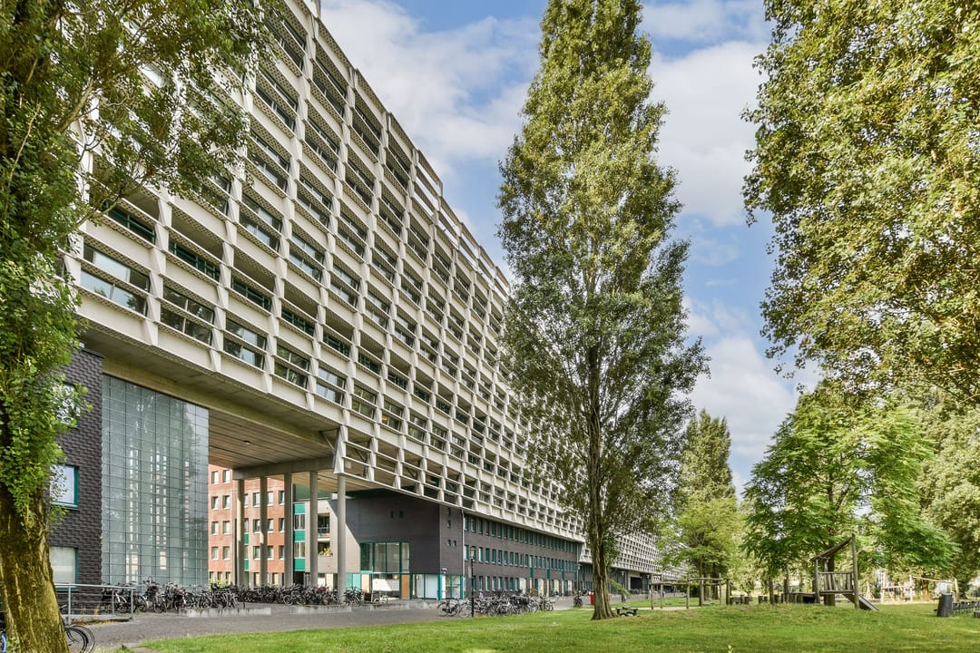 Photo 1 of Borneolaan 209