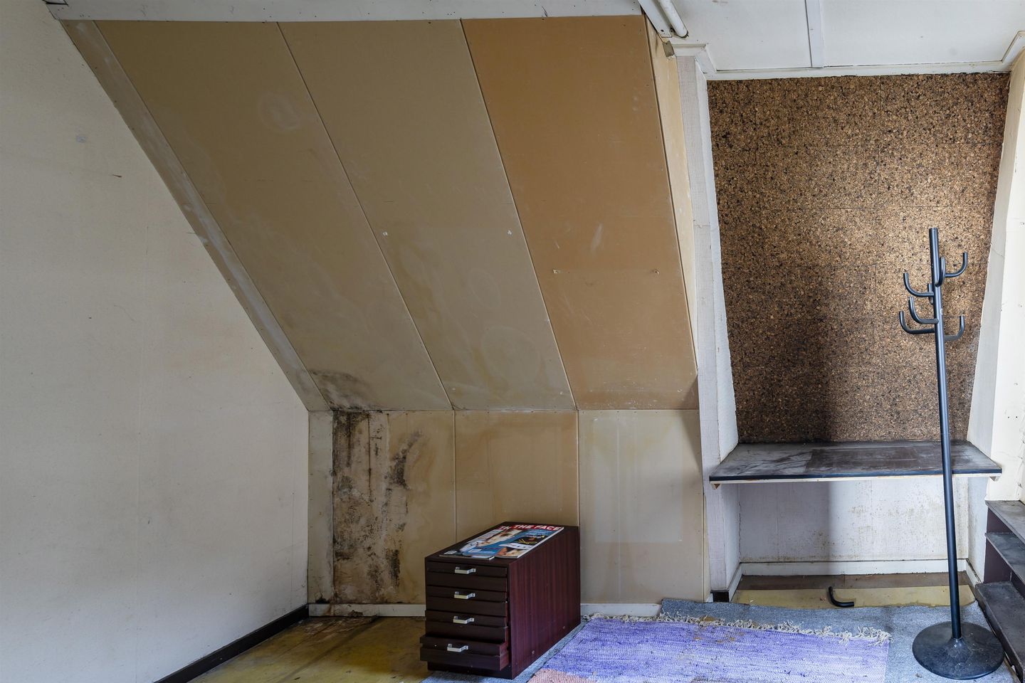 Foto 25 van Tweede Jan Steenstraat 121-H