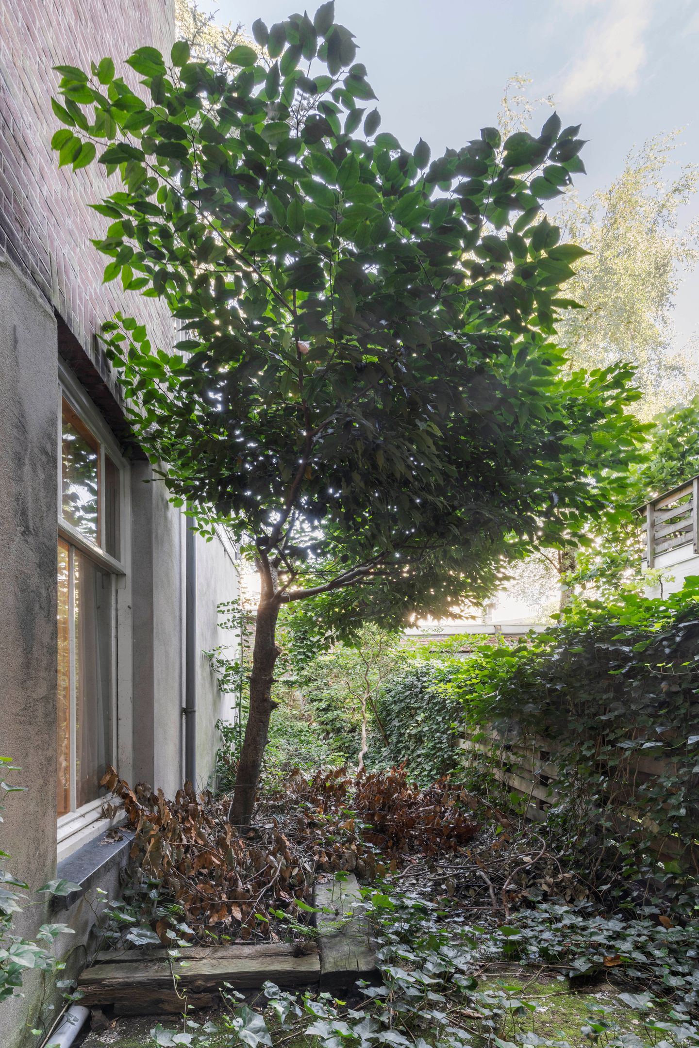 Foto 4 van Hondecoeterstraat 28-H