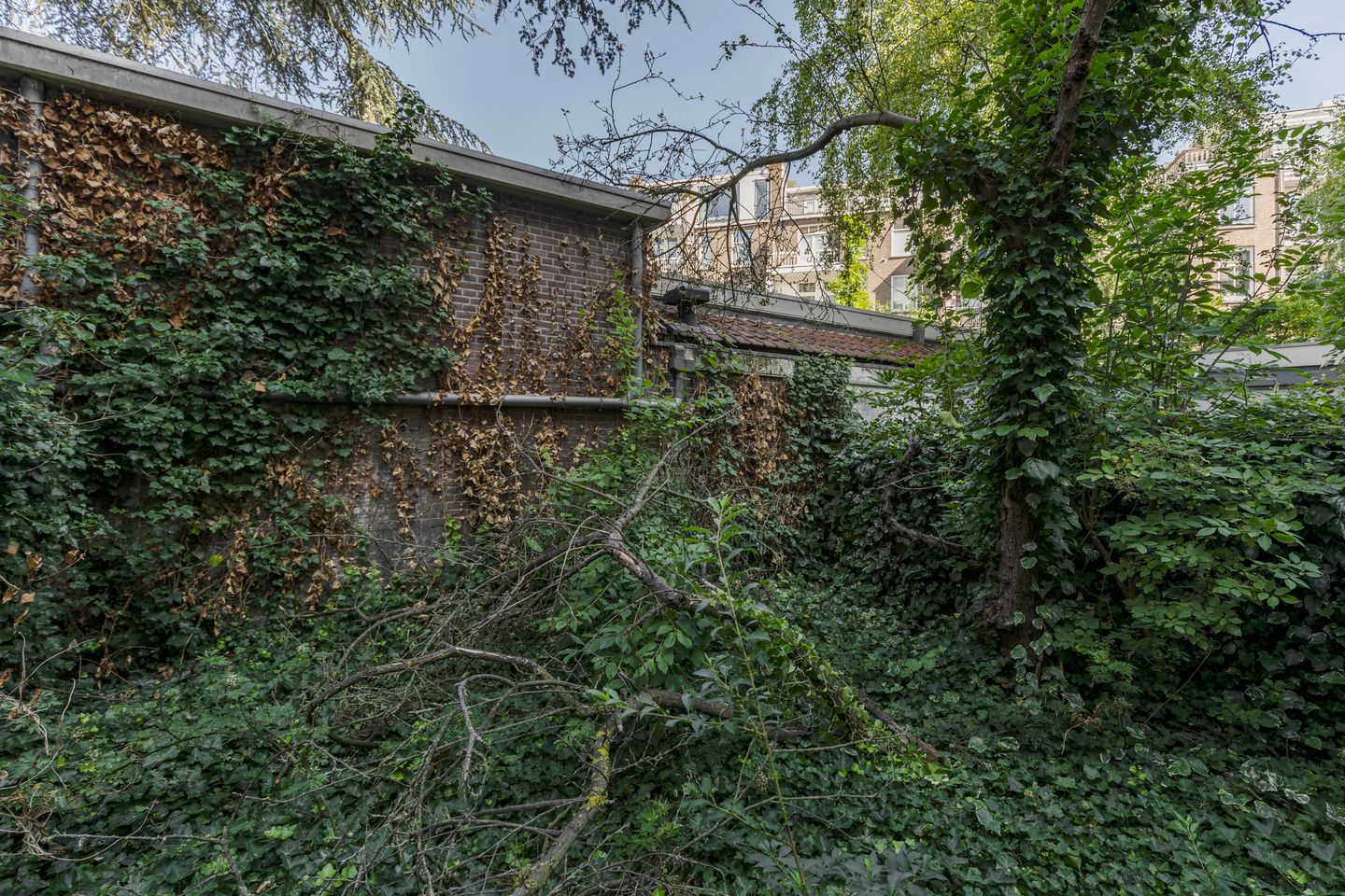 Foto 5 van Hondecoeterstraat 28-H