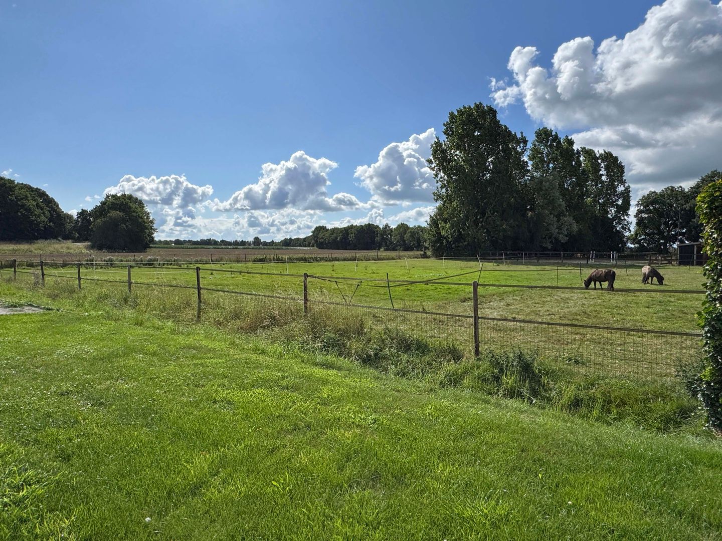 Photo 19 of Stieltjeskanaal 49