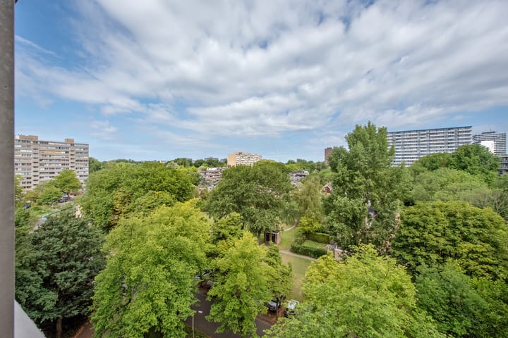 Foto 18 van Jan Campertlaan 169