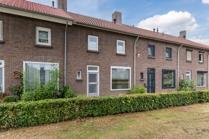 undefined main image