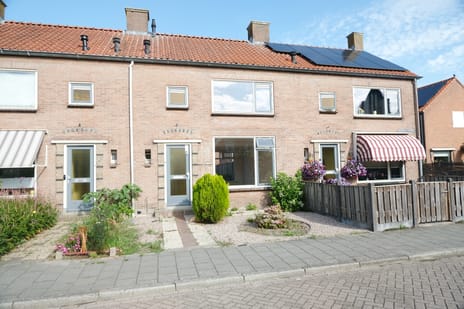 undefined main image