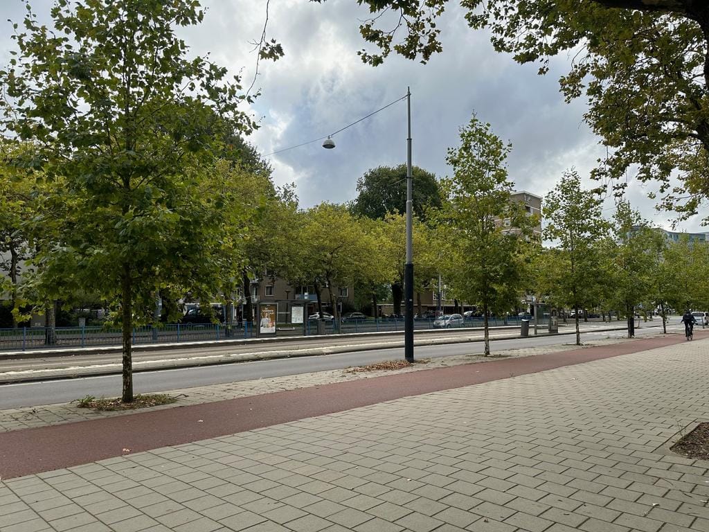 Foto 11 van Evert Cornelisstraat 26