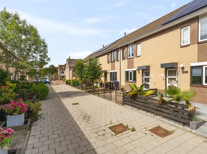 Photo 2 of Kruiszwin 2317