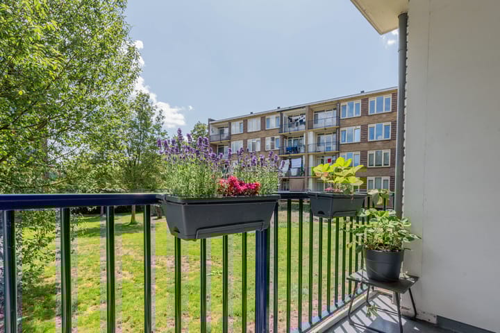 Foto 11 van J.H.Leopoldhof 10