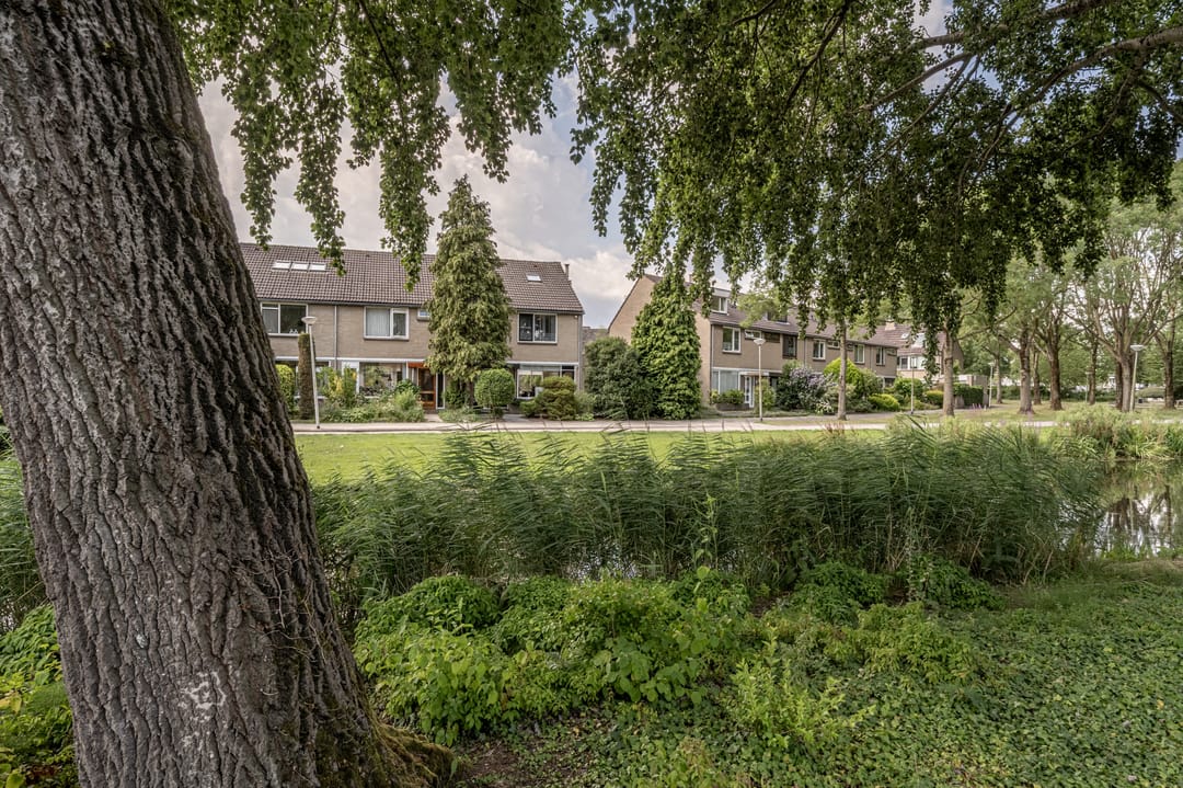 Foto 46 van Kempenaar 10