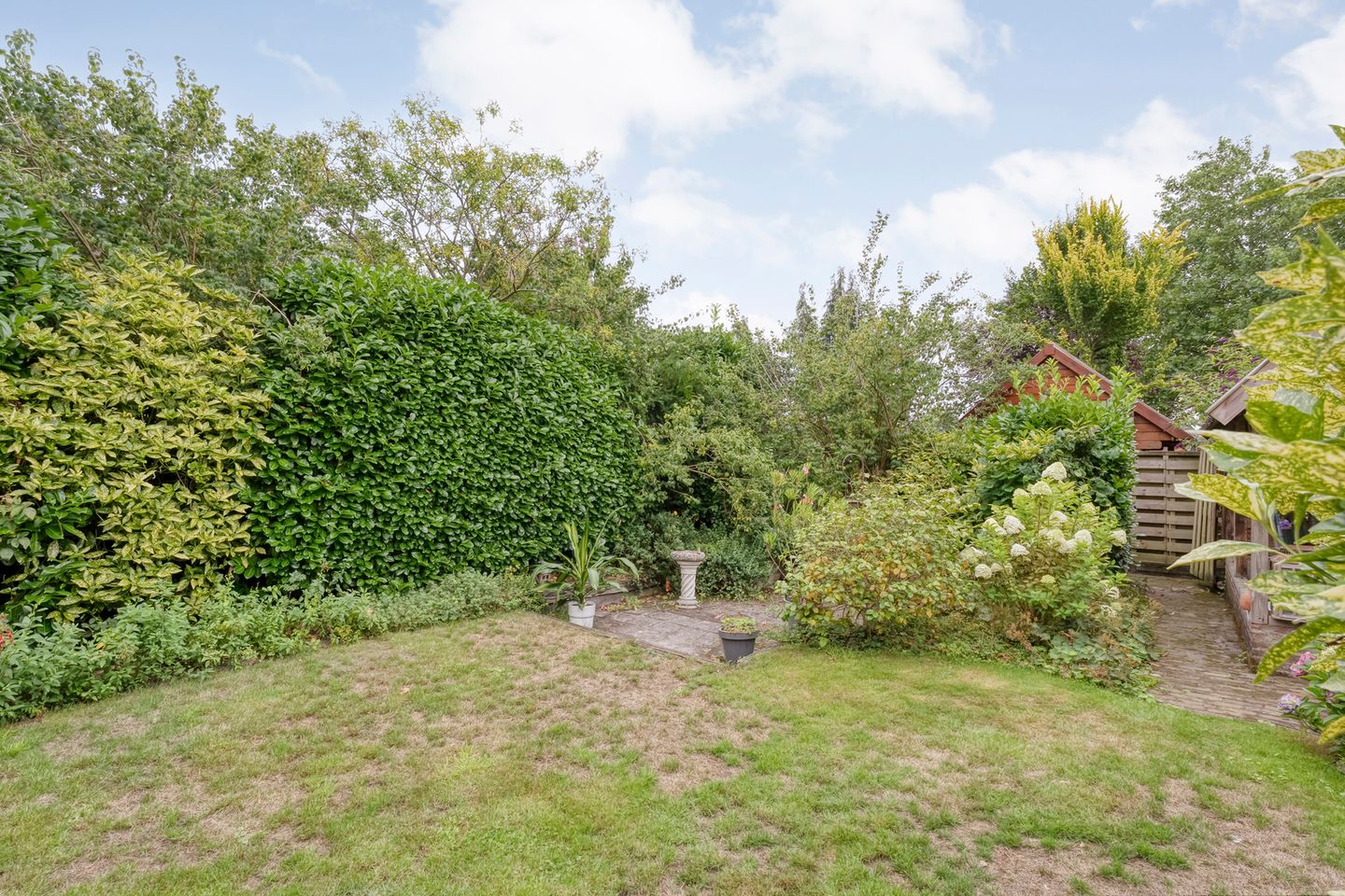 Foto 29 van Rogat 36