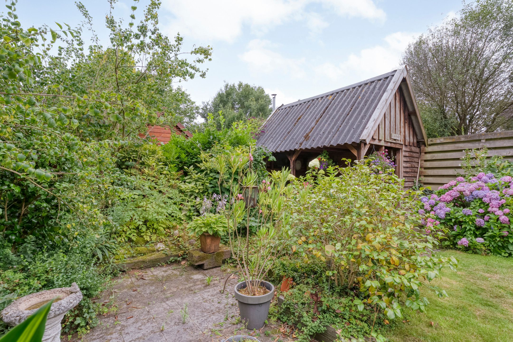 Foto 30 van Rogat 36