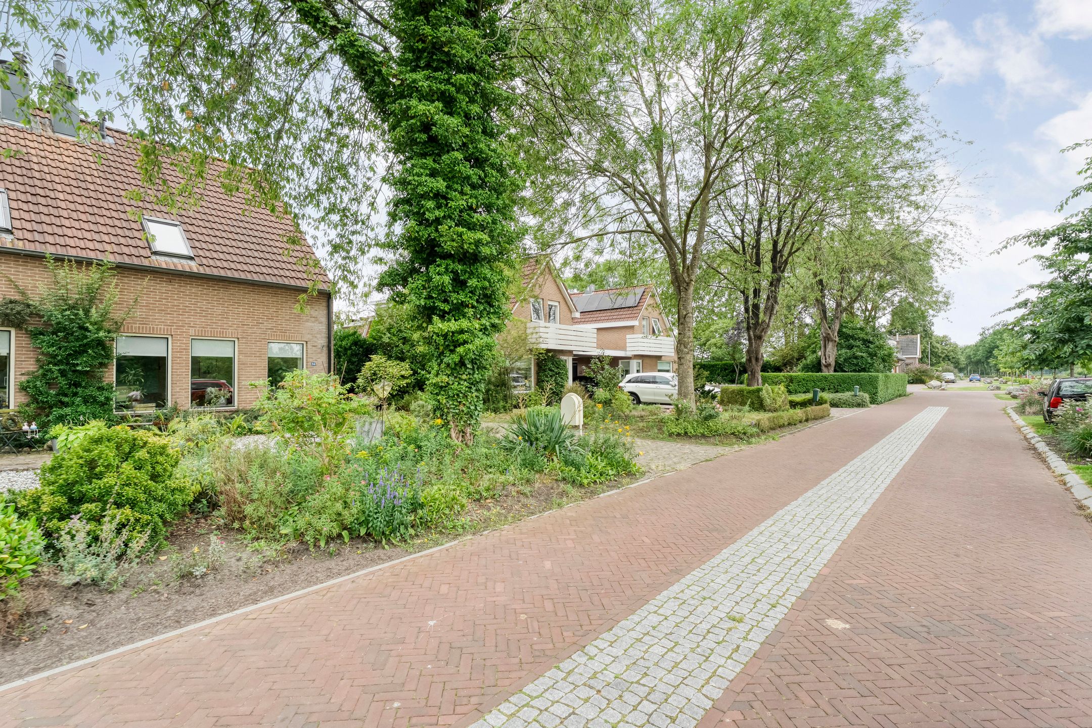 Foto 36 van Rogat 36