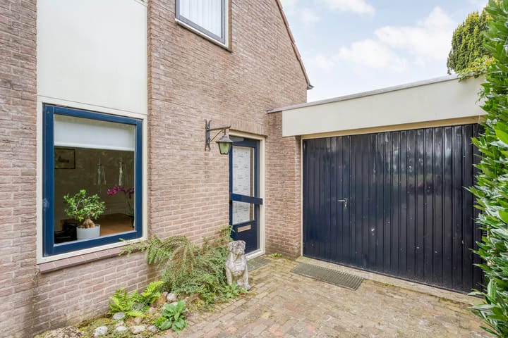 Foto 37 van Rogat 36