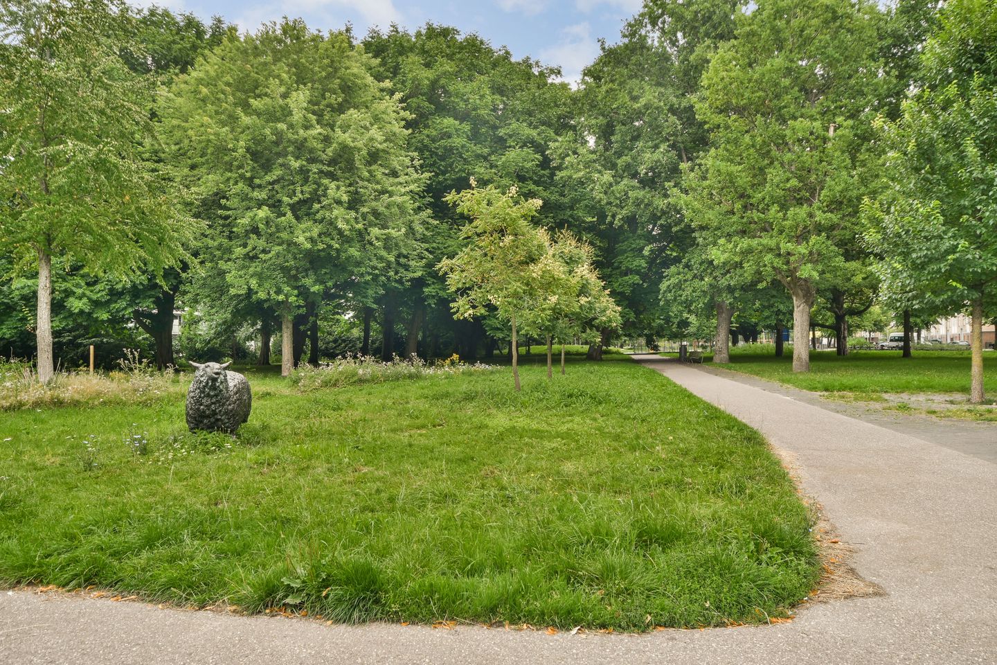 Foto 29 van Langswater 895