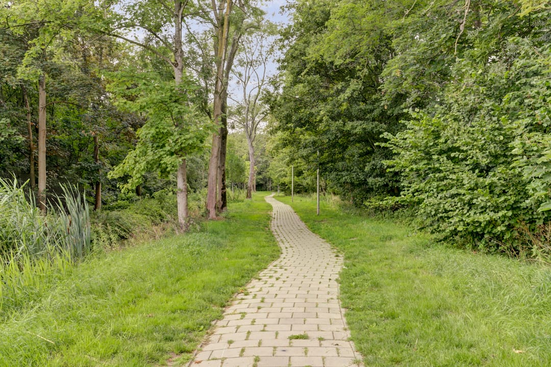 Foto 41 van Klaproos 19