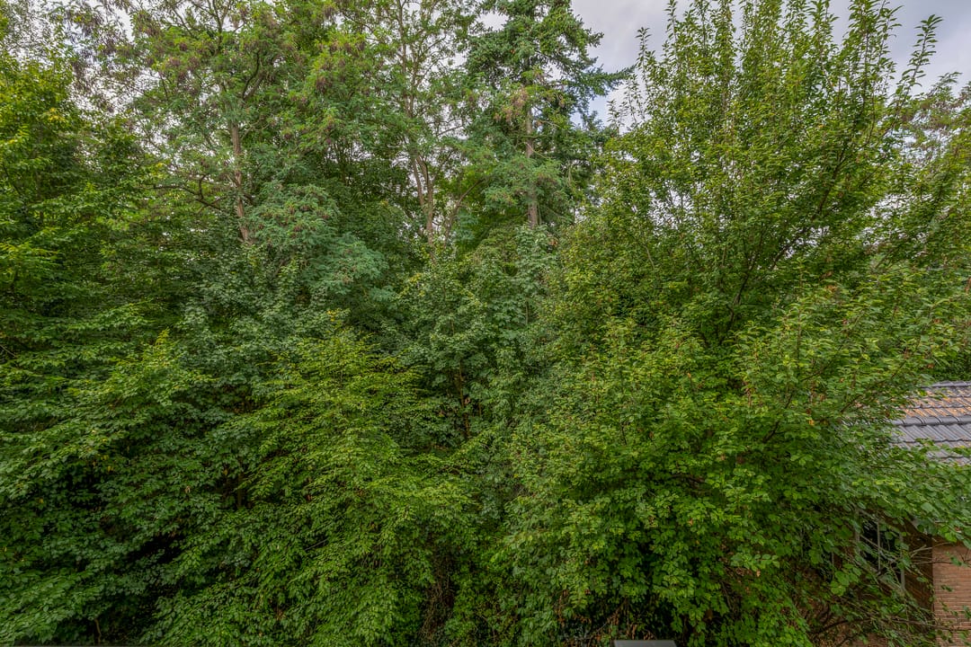 Foto 41 van Diedenweg 57-I