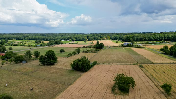 Foto 55 van Diedenweg 57-I