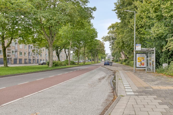 Foto 27 van Willem de Zwijgerlaan 118