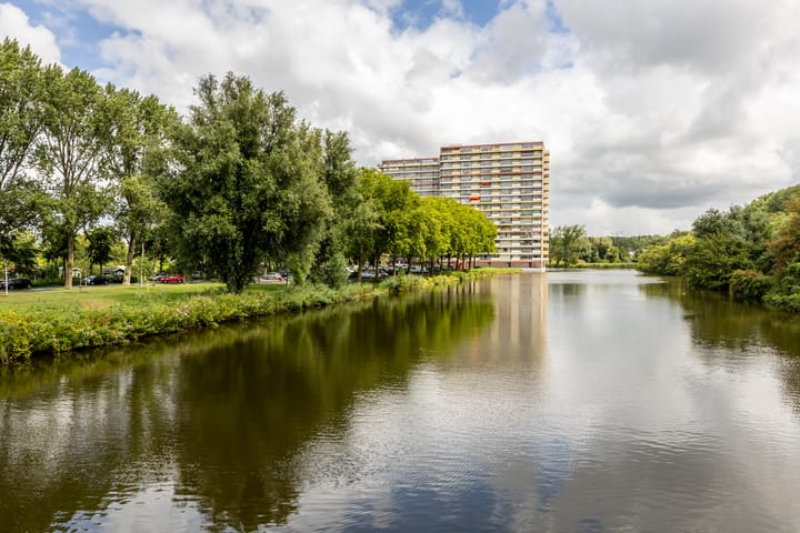 Oost-Dorsch 156