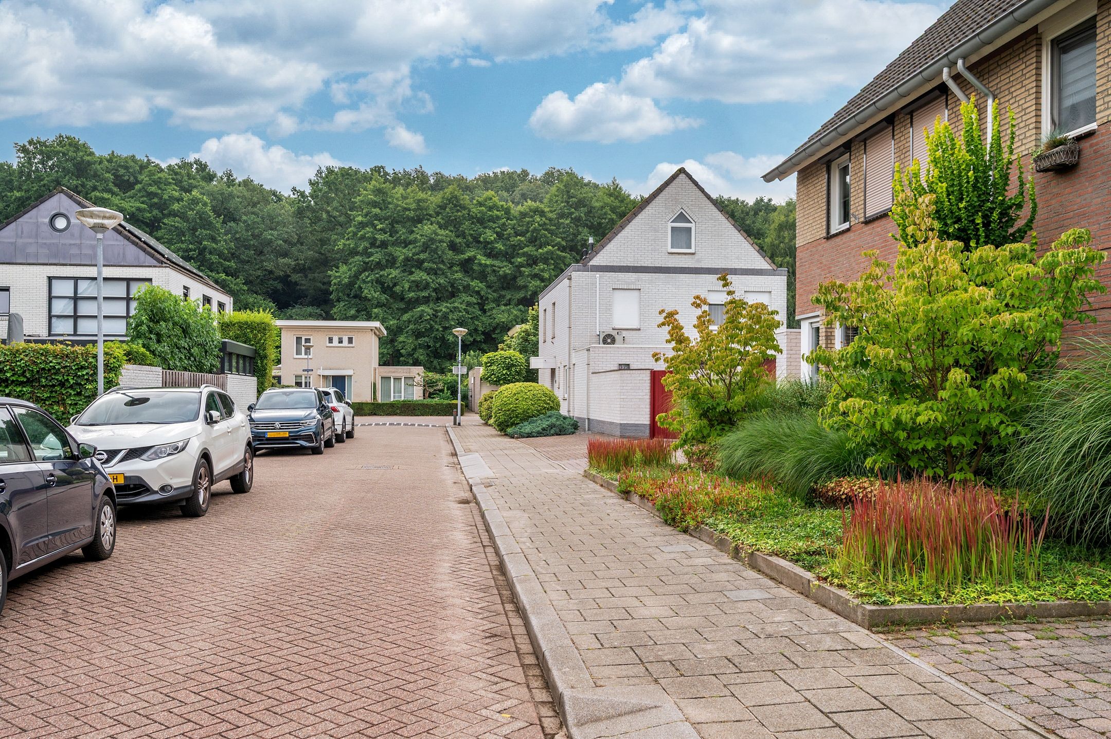 Foto 42 van Weegbree 12