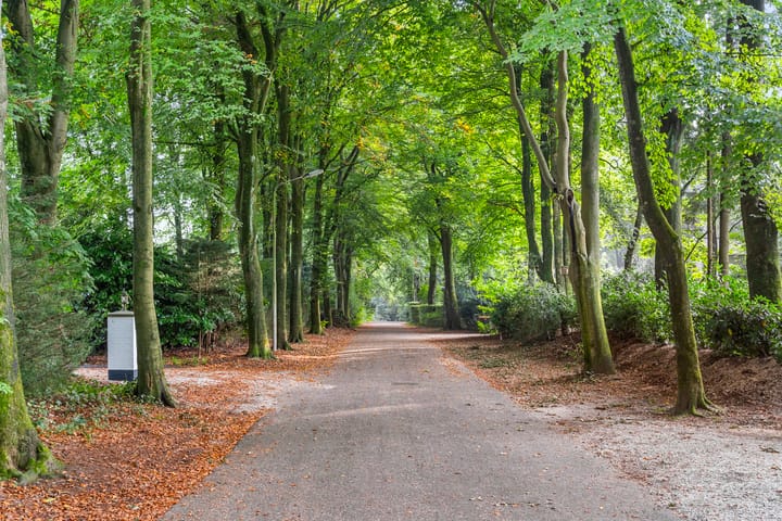 Foto 7 van Hertenlaan 15