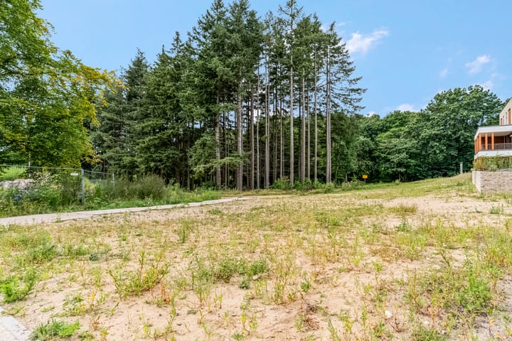 Foto 48 van Braambeshof 24