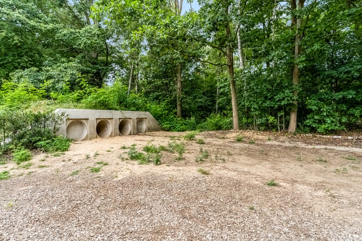 Foto 51 van Braambeshof 24