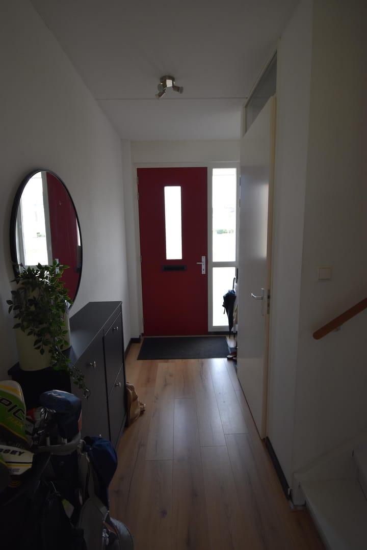 Foto 3 van Aardbeivlinder 194