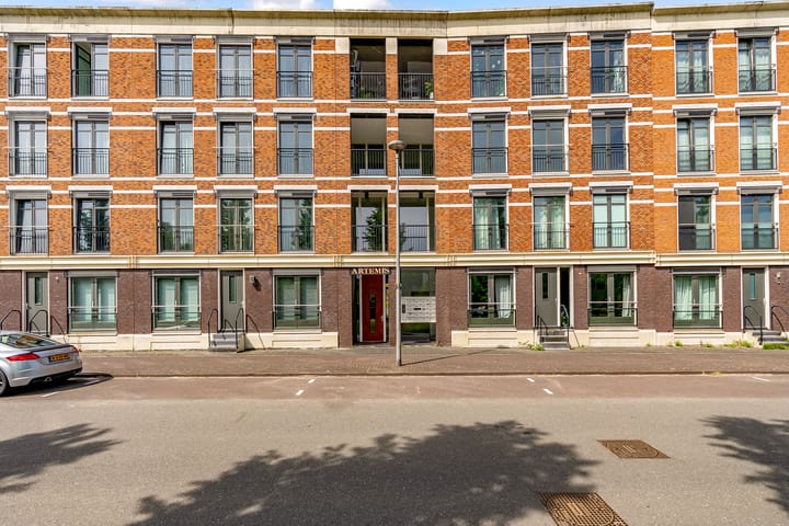 Foto 2 van Artemissingel 218