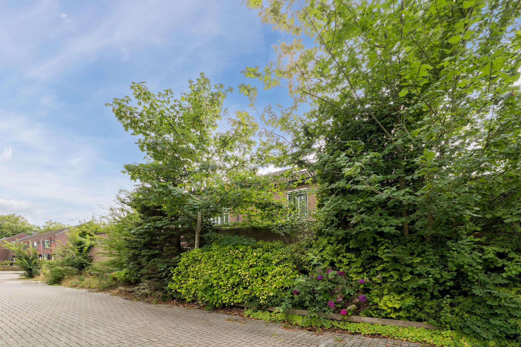 Foto 30 van Kolffstraat 3