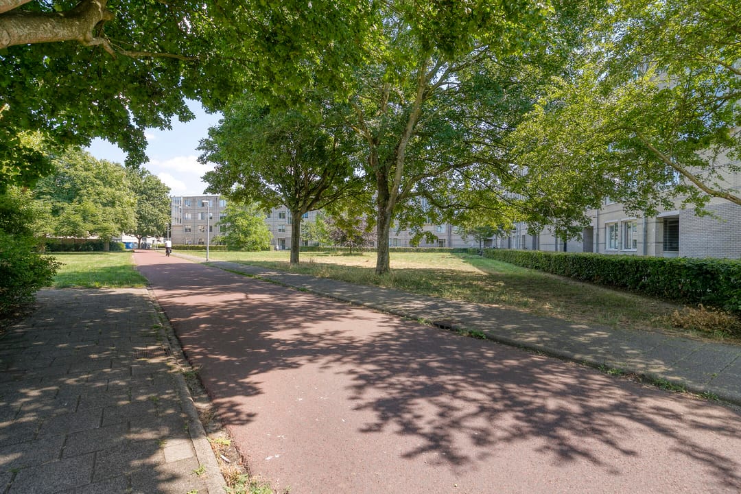 Foto 32 van J.T.P. Bijhouwerhof 67