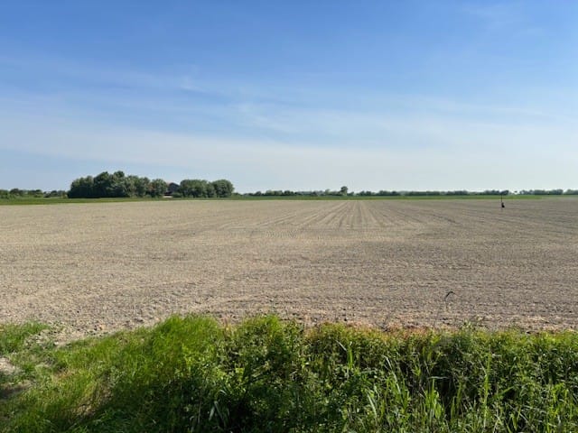 Bekijk foto 3 van Pauluswegeling