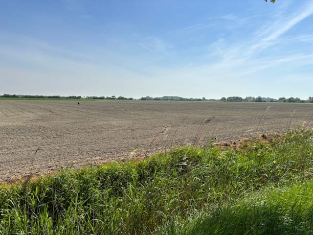Bekijk foto 4 van Pauluswegeling