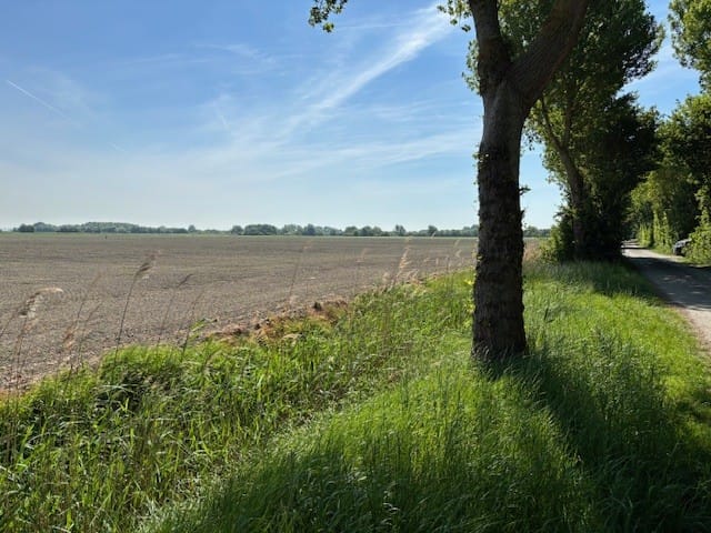 Bekijk foto 5 van Pauluswegeling