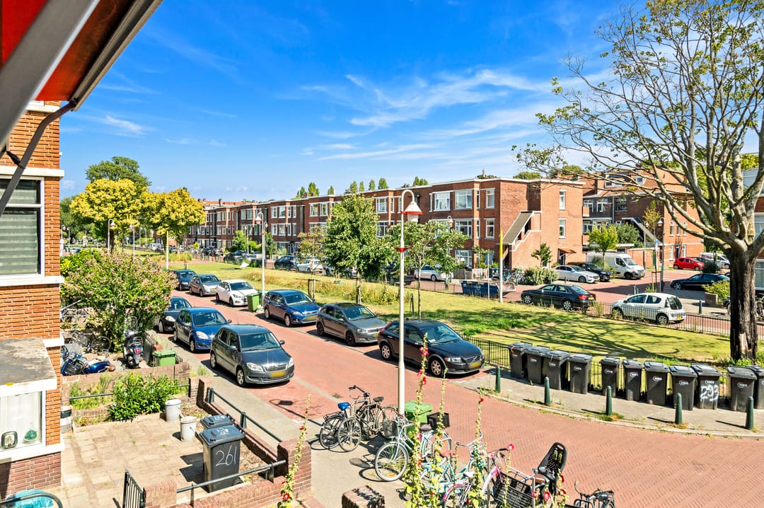 Photo 11 of Damasstraat 279