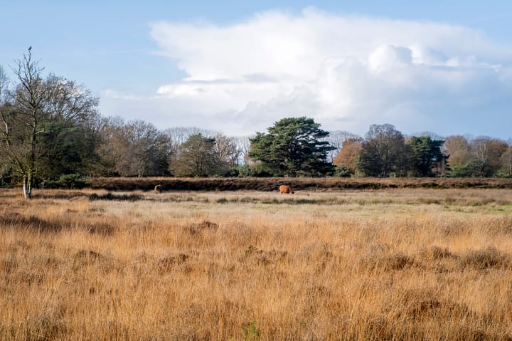 Foto 21 van Hendrik Reindersweg 28-46A