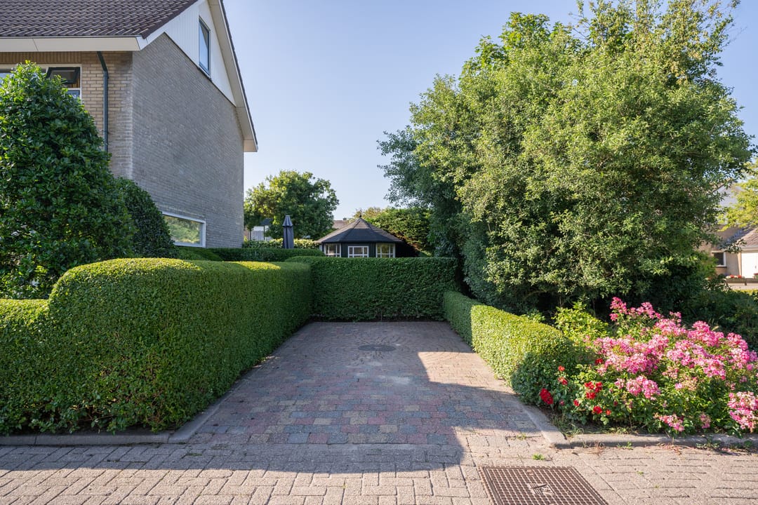 Foto 2 van Watermunt 15