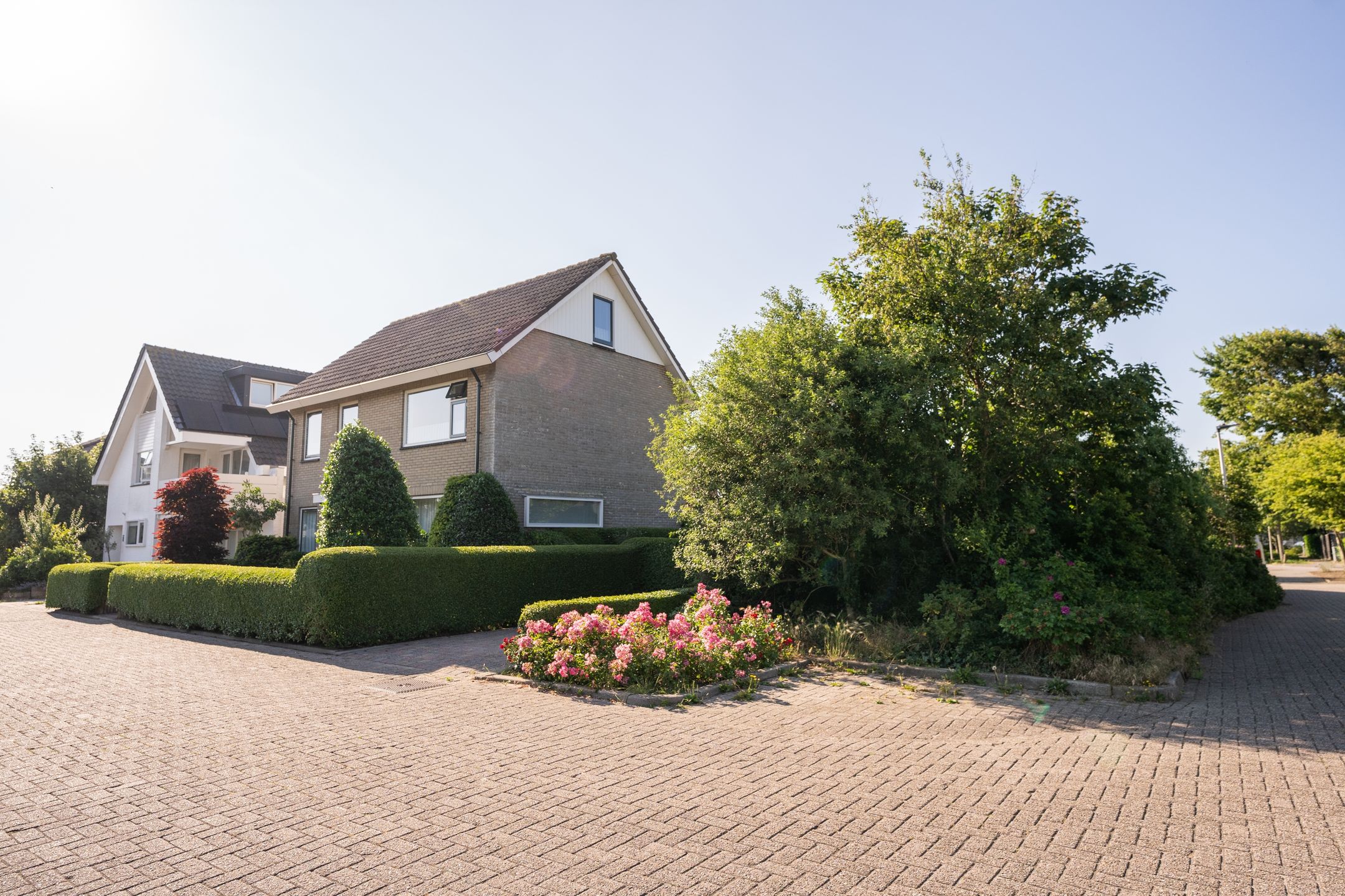 Foto 3 van Watermunt 15