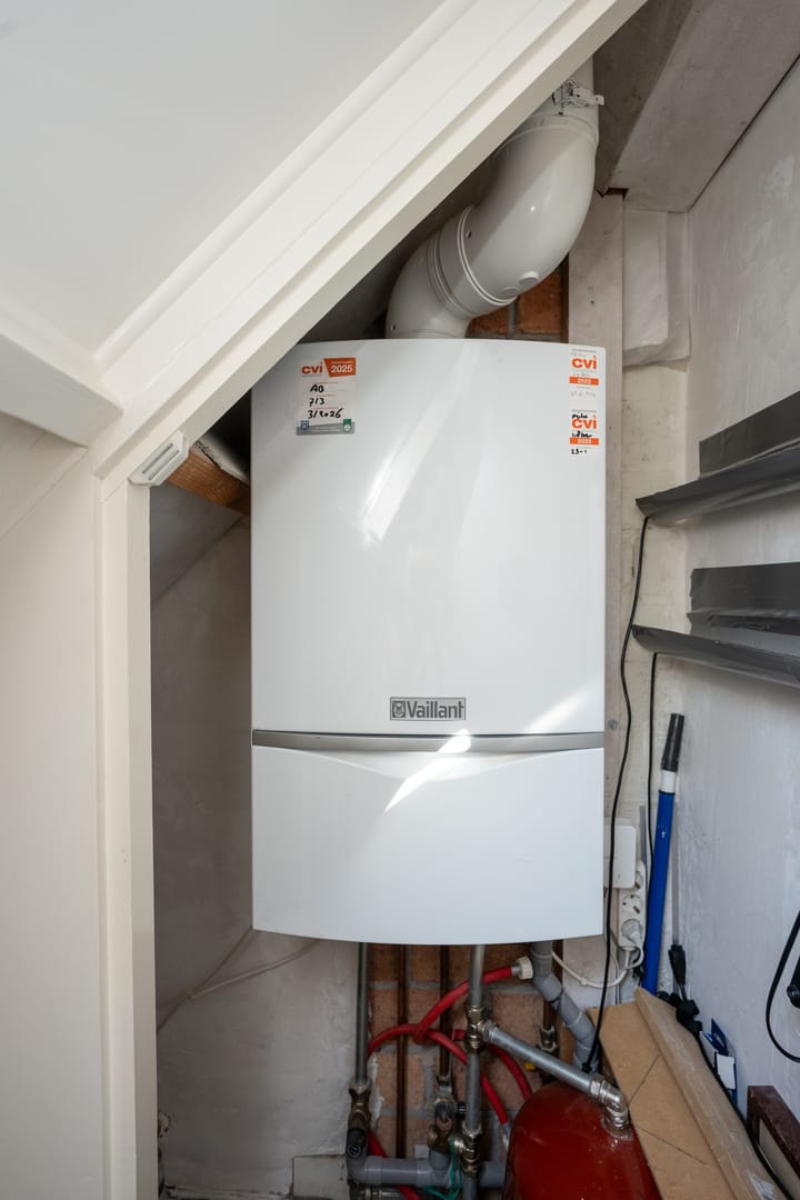 Foto 36 van Watermunt 15