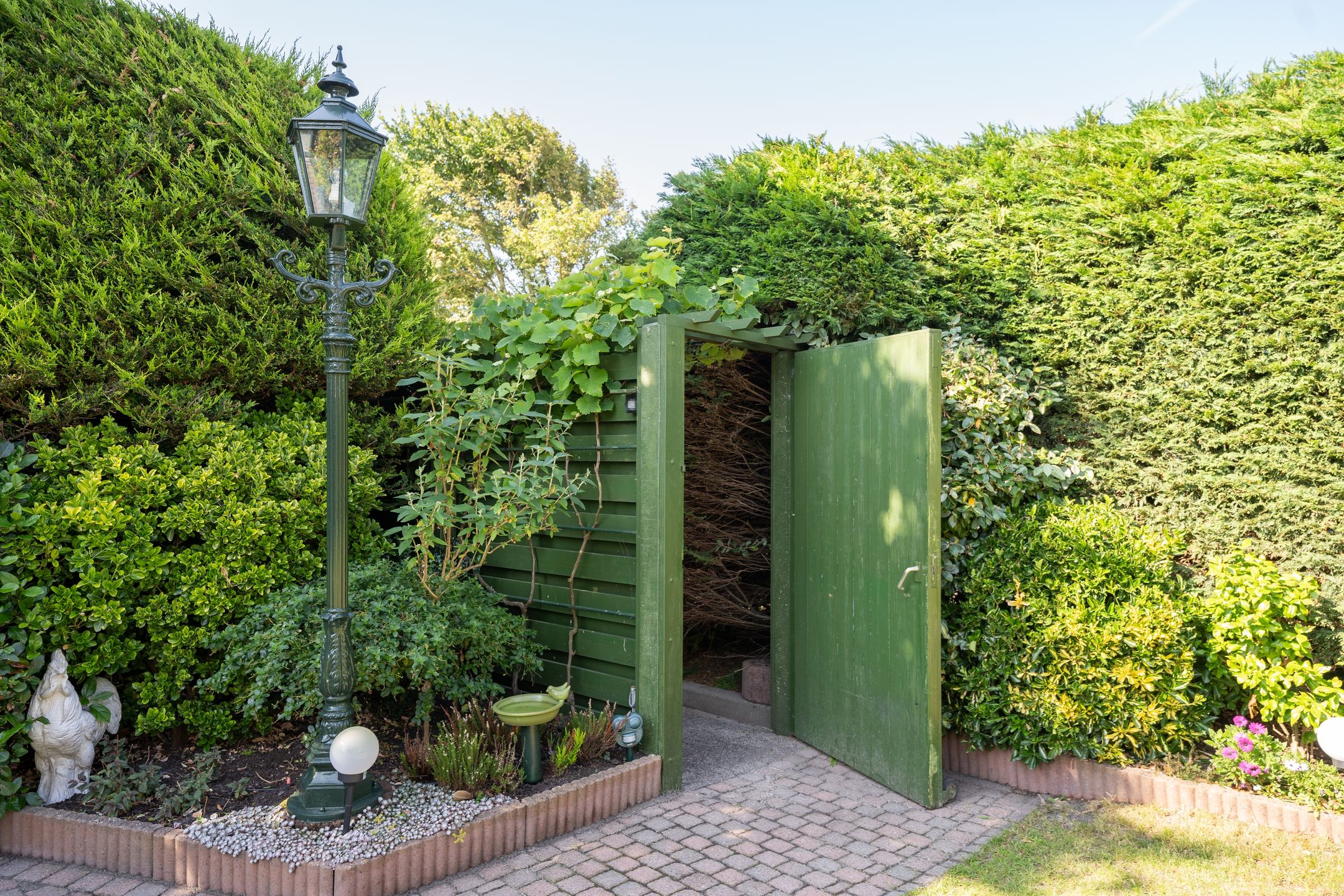 Foto 78 van Watermunt 15