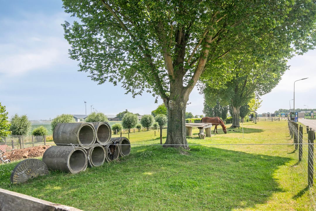 Photo 43 of Coorndijkstraat 25